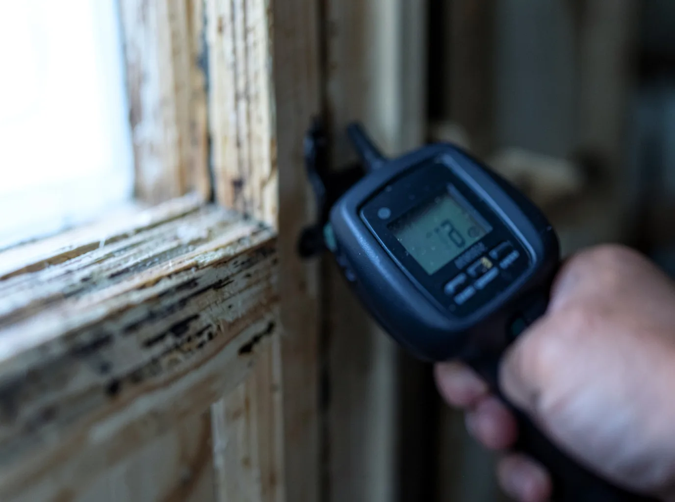 Moisture Inspection And Documentation in Drewsville, NH